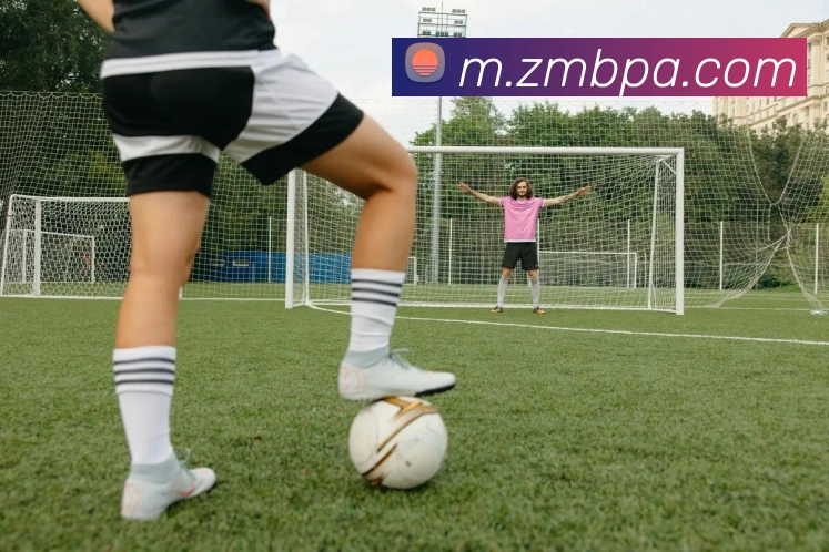 pa真人视讯服务体系